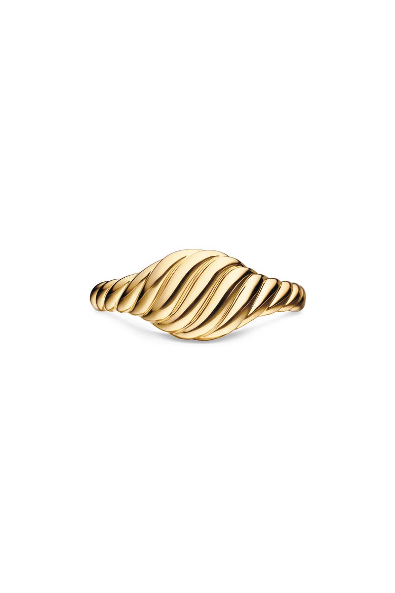 Sculpted Cable Pinky Ring in 18K Yellow Gold, Main, color, 18K YELLOW GOLD