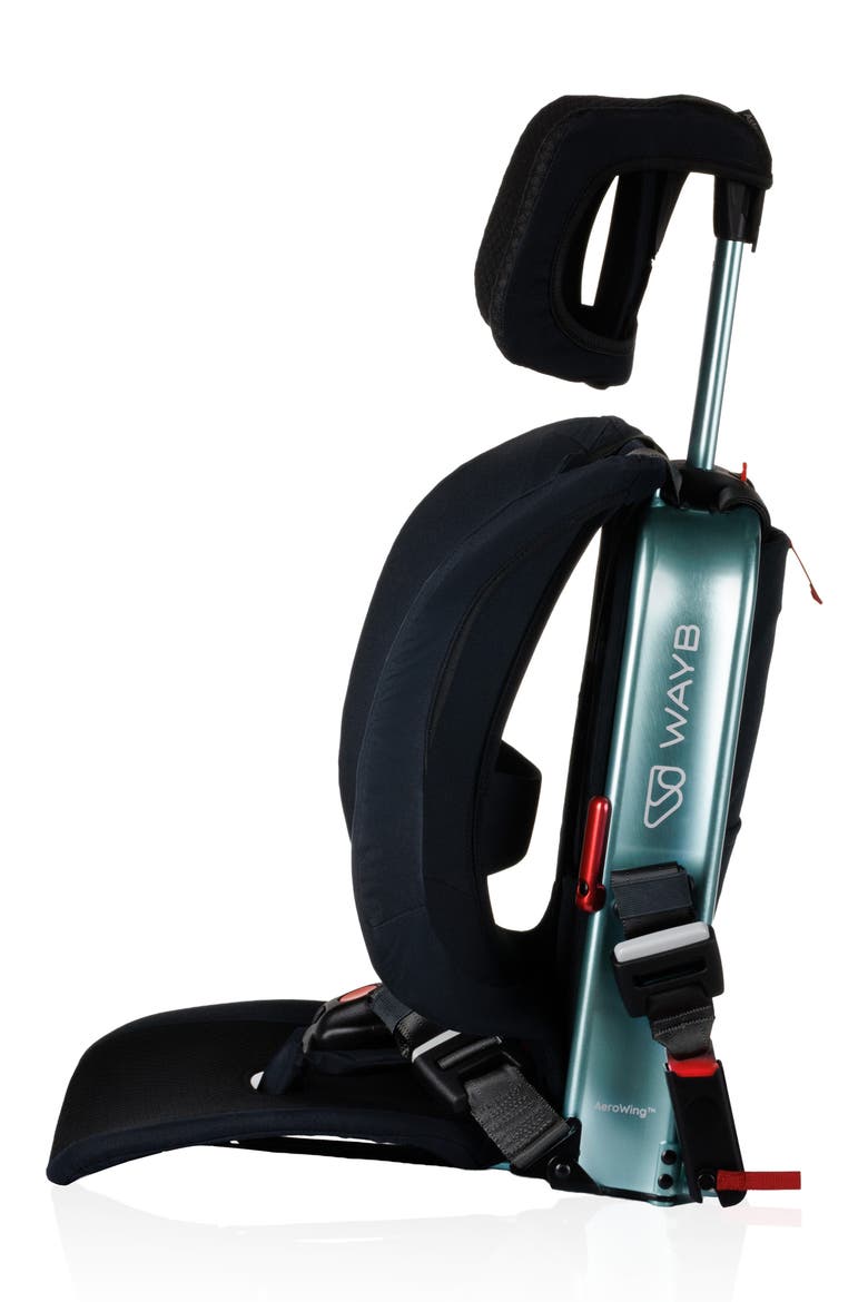 Pico Forward Facing Car Seat, Alternate, color, JUNIPER