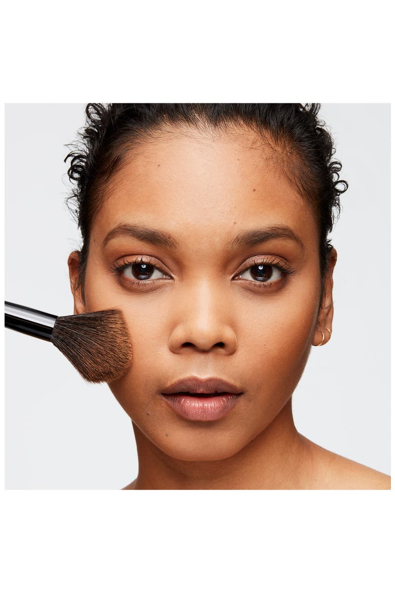 Halo Fresh Perfecting Powder, Alternate, color, DARK/ NEUTRAL