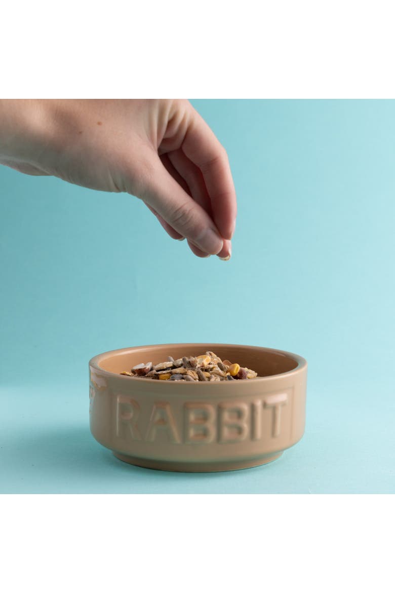 Cane Rabbit Bowl, 5.2 Inches, 13.5oz, Feeding Dish, Alternate, color, Brown