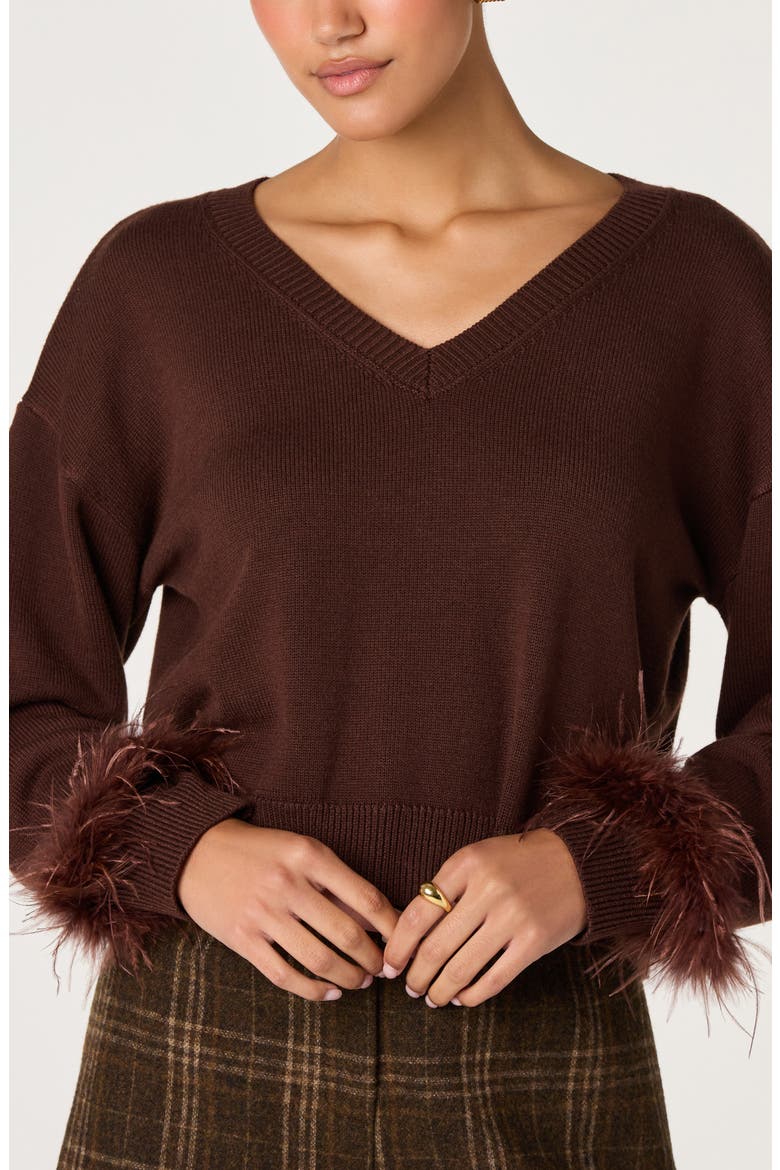 Perdita Feather Trim V-Neck Sweater, Alternate, color, BROWN