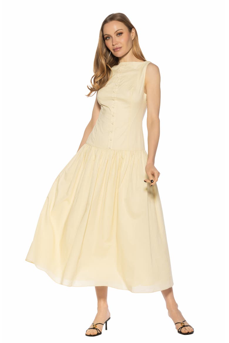 Solenne Mixed Media Dress, Alternate, color, BEIGE