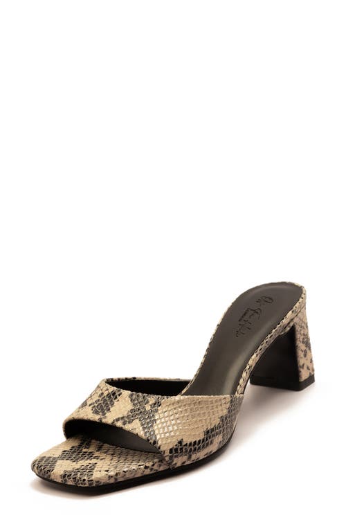 Off The Hook London Park Block Heel Sandal In Animal Print