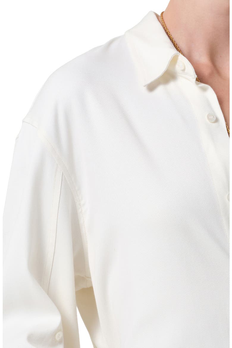 Kayla Oversize Button-Up Shirt, Alternate, color, MOONLIGHT