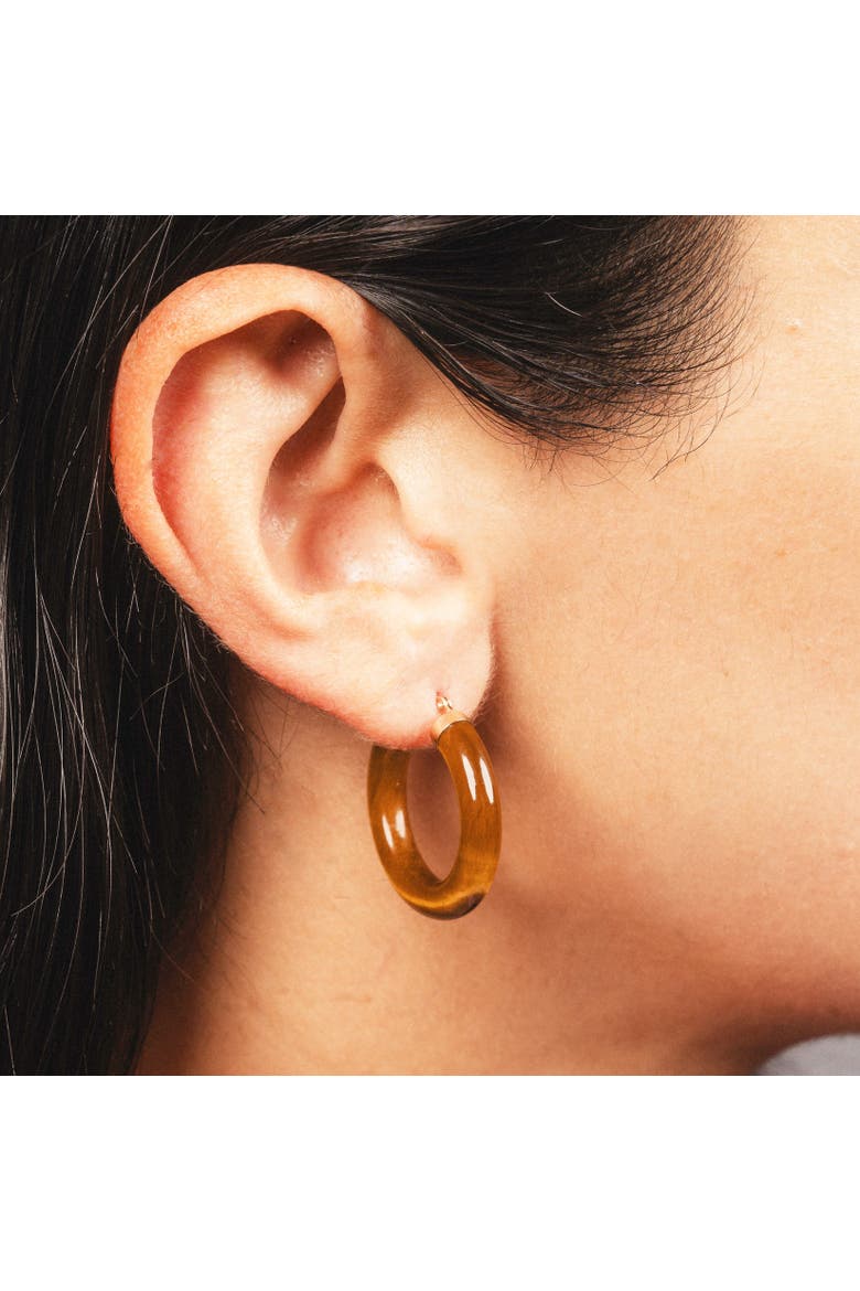 Tigers Eye Hoop Earrings, Alternate, color, Tigers Eye