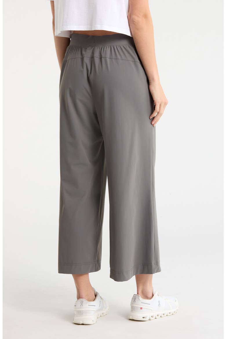 Warp Avenue Gaucho Pants, Alternate, color, POPPY SEED