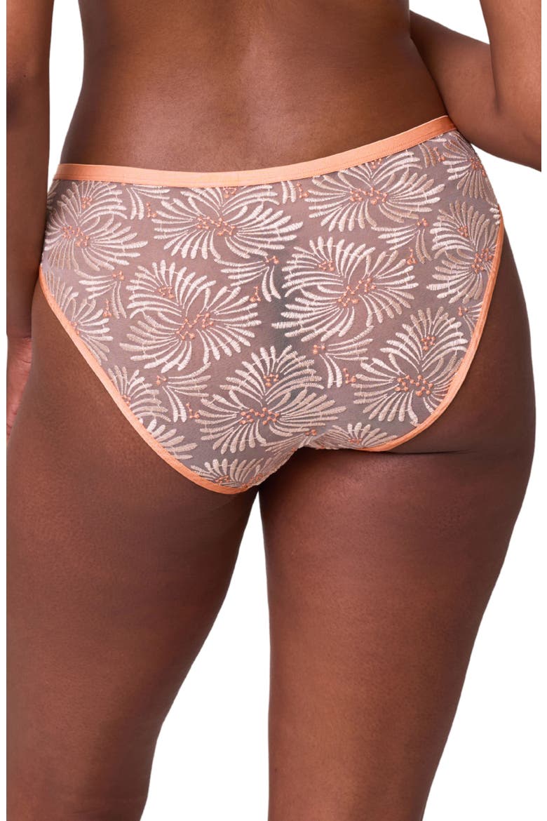 Tangerine Dream Embroidered Sheer Mesh Bikini Briefs, Alternate, color, CHAMPAGNE/ TANGERINE