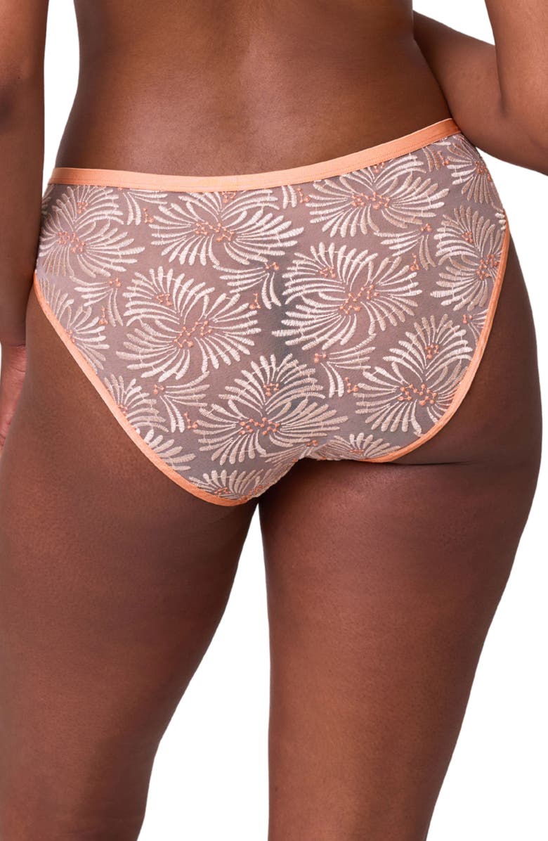 Montelle Intimates Tangerine Dream Embroidered Sheer Mesh Bikini Briefs, Alternate, color, 