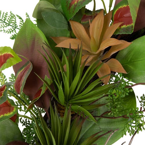 Northlight Mixed Succulent And Pomegranate Artificial Wreath, 24-inch In Green