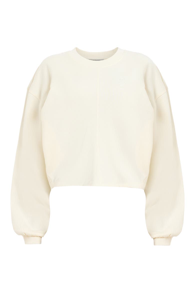 Mira Haven Tie Hem Cotton Sweater, Alternate, color, GARDENIA CREAM