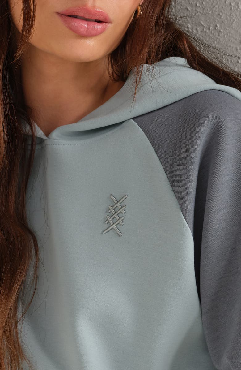 Rhone DreamGlow Colorblock Hoodie, Alternate, color, Green Smoke