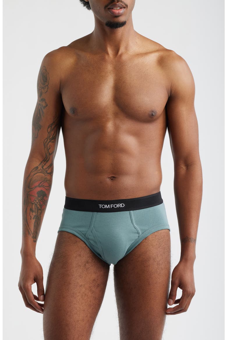 Cotton Stretch Jersey Briefs, Main, color, TEAL