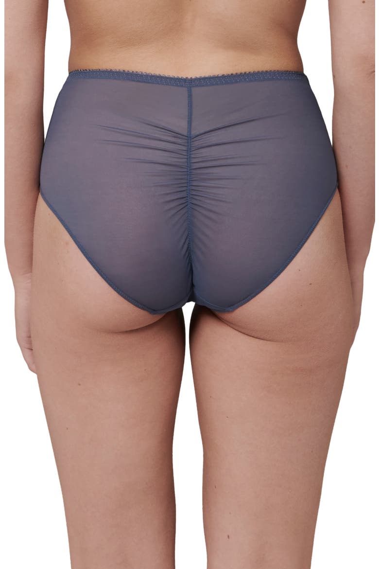 Intrigue Floral Embroidered Briefs, Alternate, color, CINDER BLUE