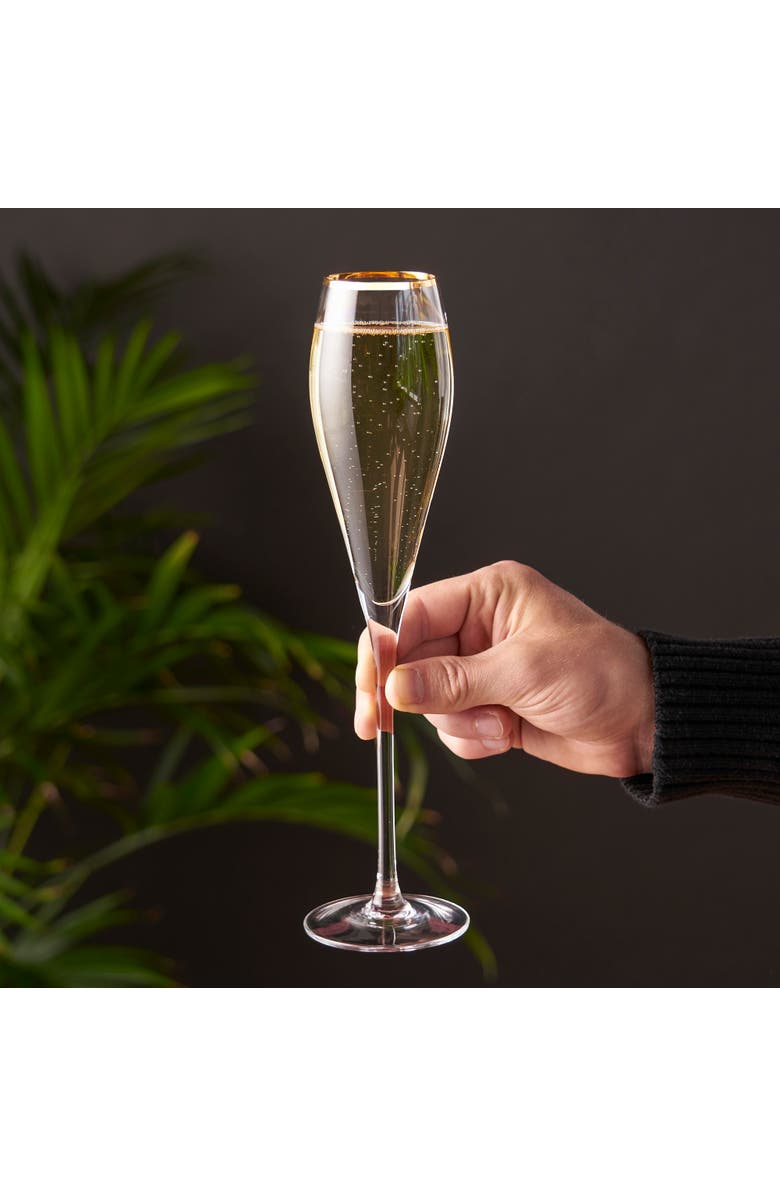 Viski Gold Rimmed Crystal Champagne Flutes Set of 2, Alternate, color, Clear