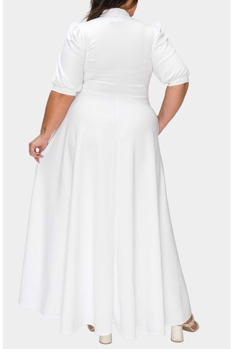 Farrah Donna Tie Neck Maxi Dress, Alternate, color, IVORY