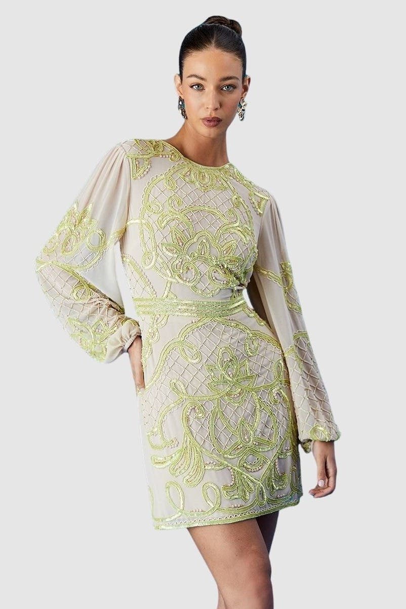 Muse Chiffon Embellished Mini Dress