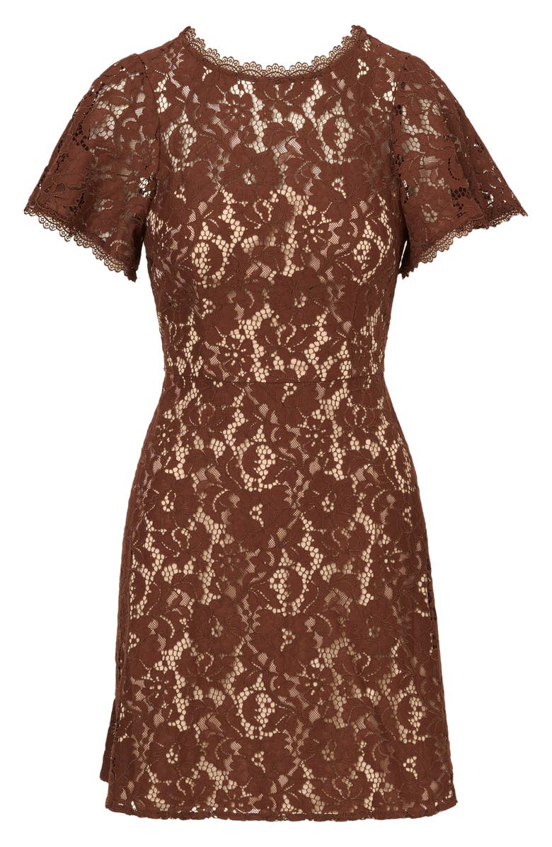Adrianna Papell Flutter Sleeve Lace Dress, Alternate, color, Espresso
