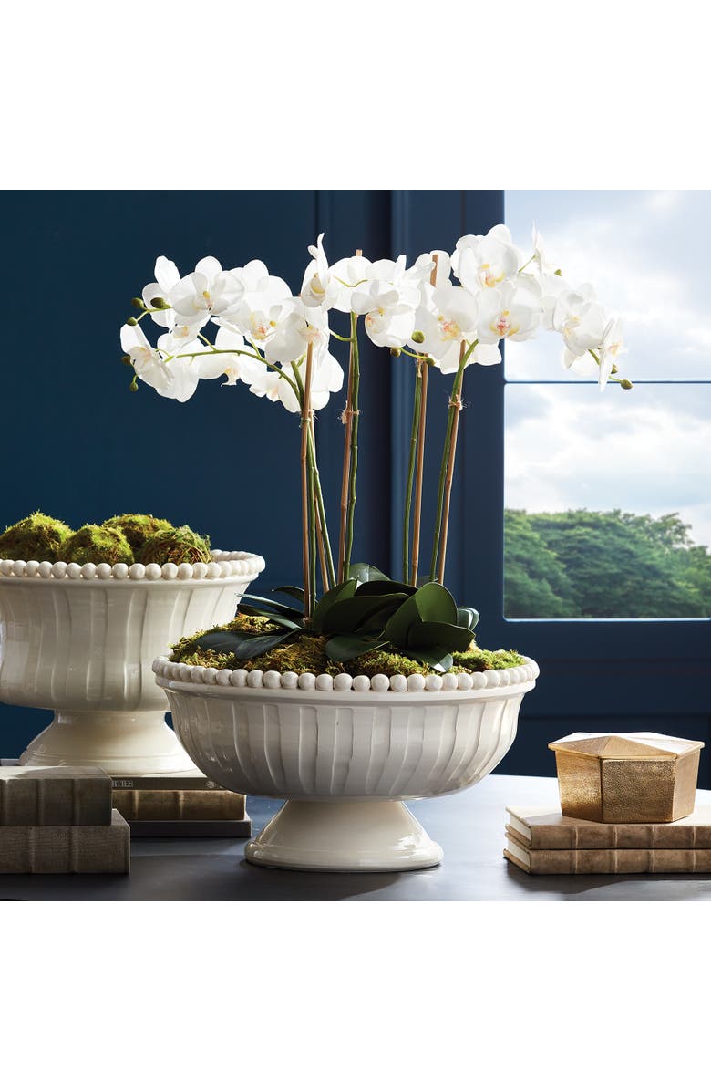 Napa Home & Garden Coletta Decorative Footed Low Bowl, Alternate, color,