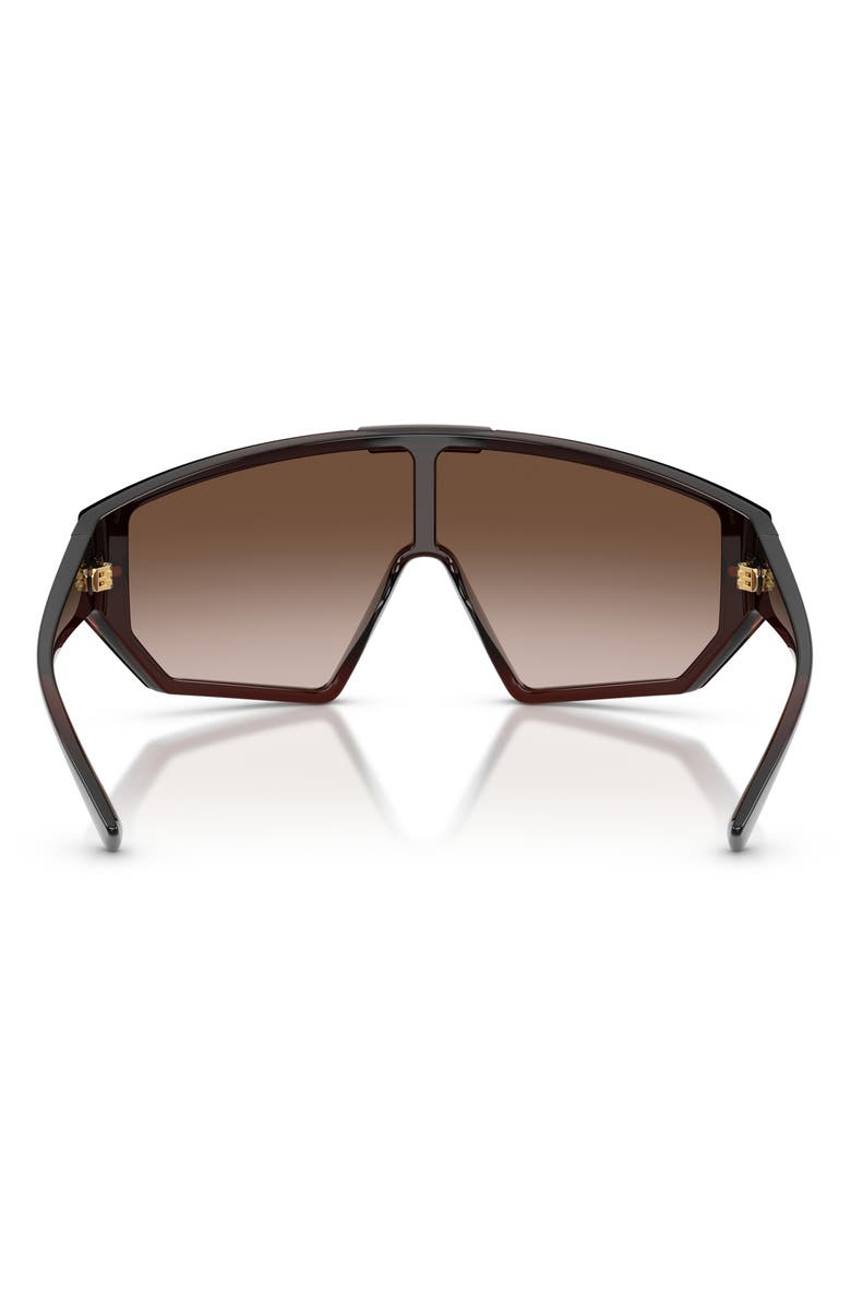 Versace Medusa Horizon 147mm Shield Sunglasses, Alternate, color, Transparent Brown / Brown