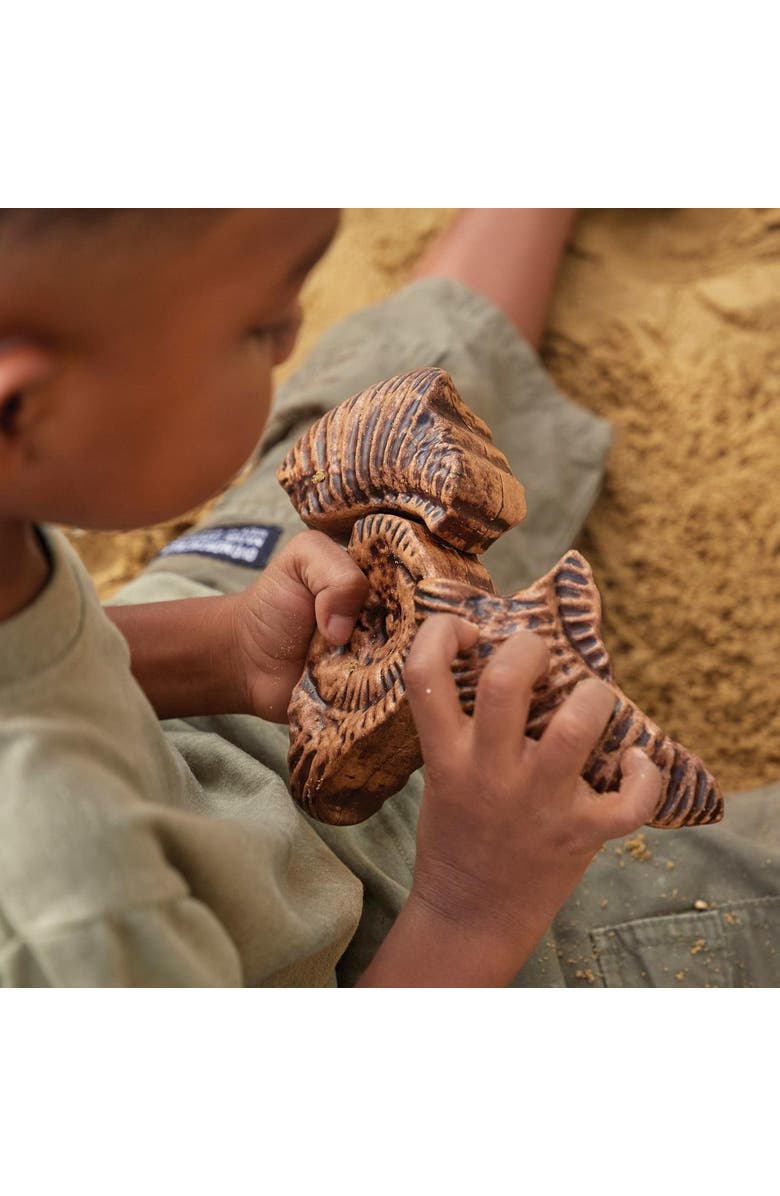 Kaplan Early Learning Company Magnetic Fossil 3D Puzzle - Ammonite - 6 Pieces, Alternate, color, Brown