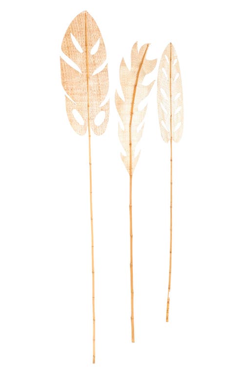Sonoma Sage Home 3-piece Natural Dried Bamboo Leaf Foliage In Light Brown