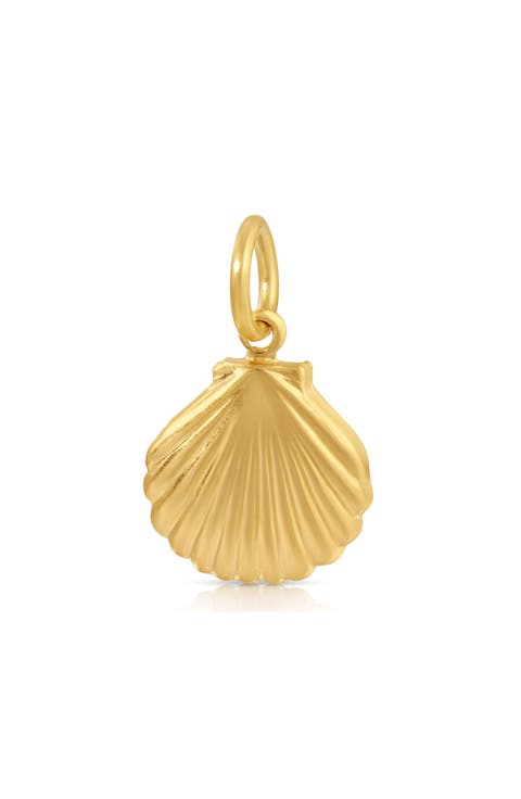 Shell Charm