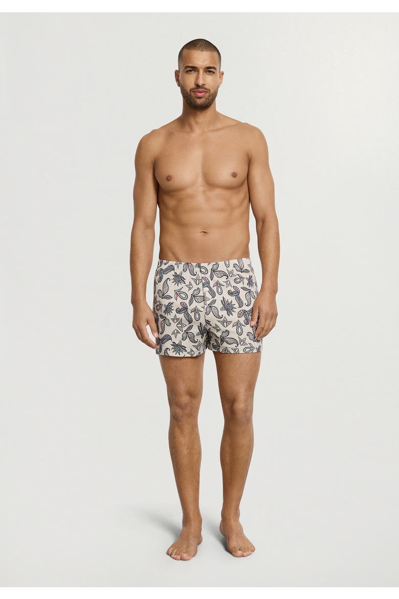 Fancy Jersey Cotton Knit Boxers, Alternate, color, Maritime Paisley