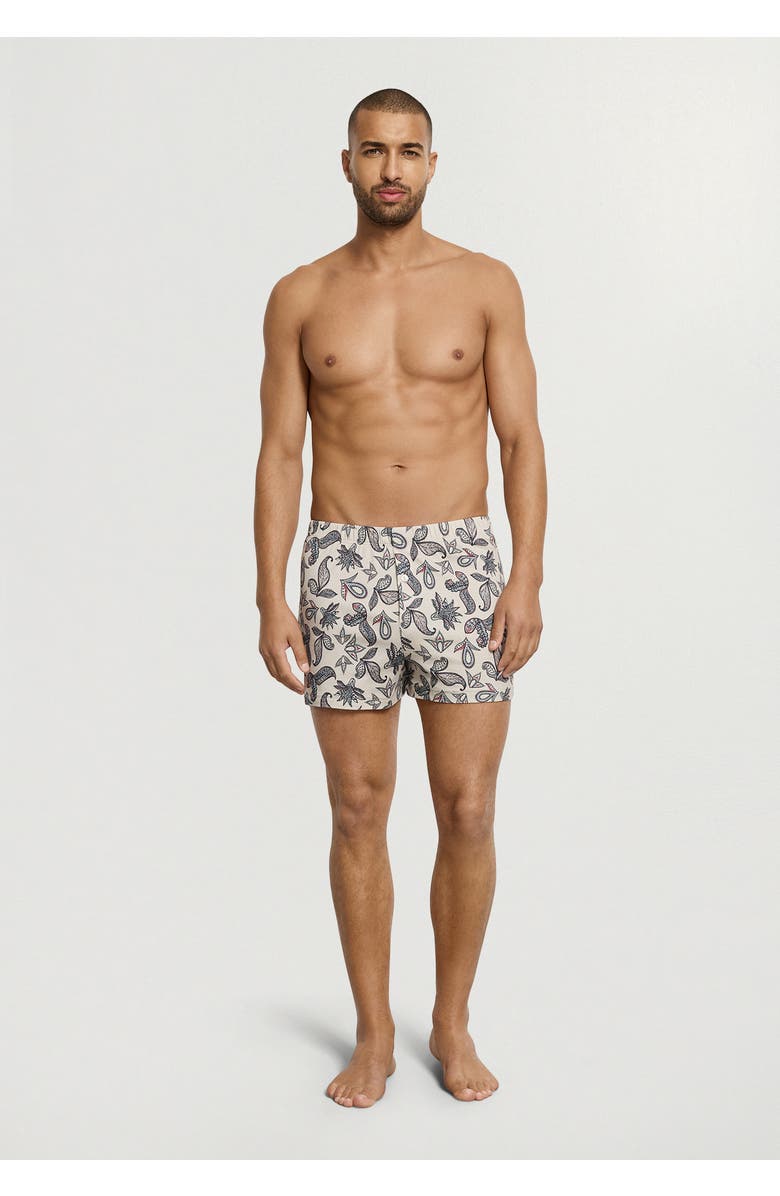 Hanro Fancy Jersey Cotton Knit Boxers, Alternate, color, Maritime Paisley