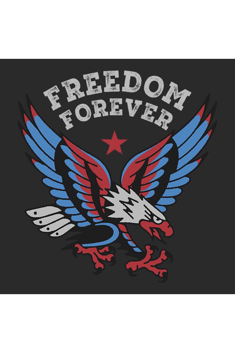 Men's Lost Gods America Freedom Forever  Graphic T-Shirt, Alternate, color, Charcoal