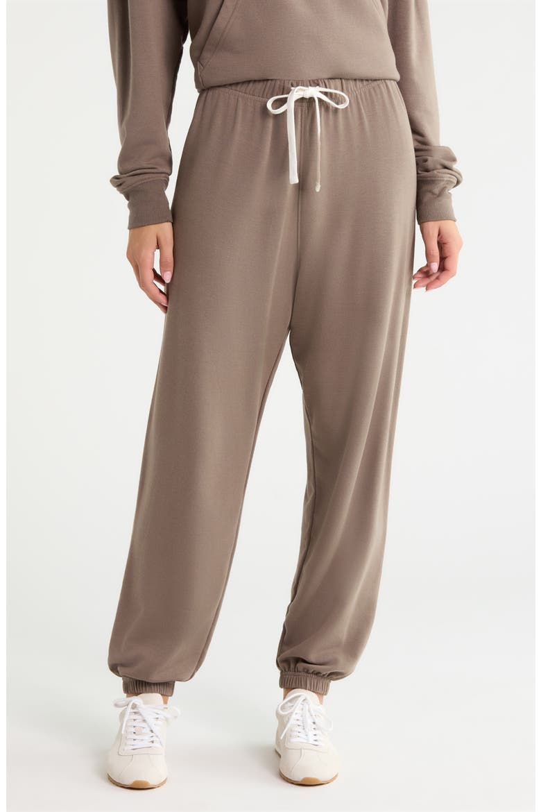 Andie Oversized Modal Fleece Sweatpants, Main, color, LENTIL