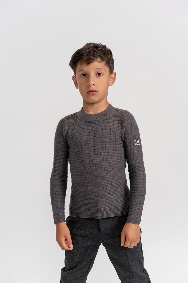 Mock Neck Knit Top with Crest Embroidery, Alternate, color, Black