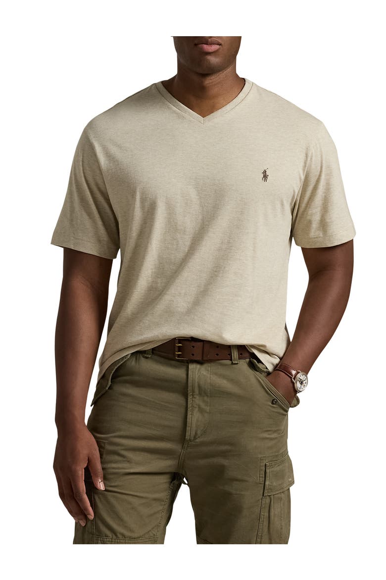 Big & Tall Classic Fit V-Neck T-Shirt, Alternate, color, DUNE HEATHER