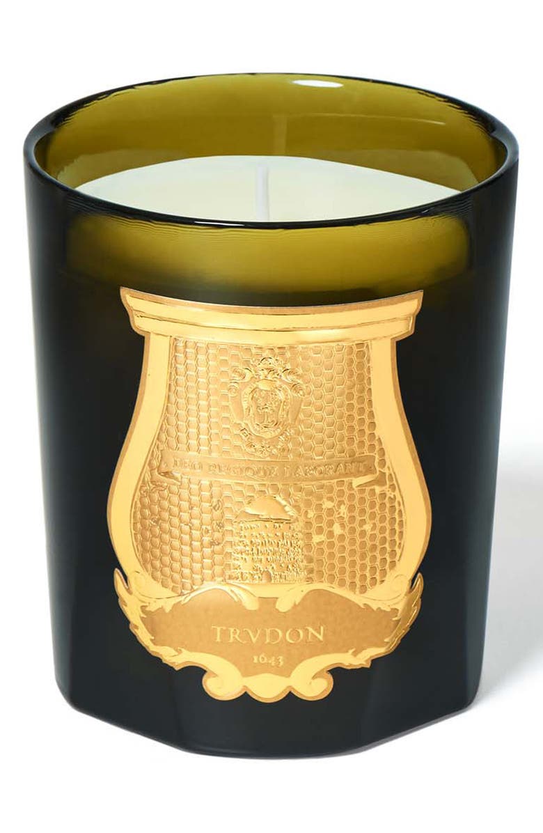 Trudon Abd El Kader Moroccan Mint Tea Candle, Main, color,