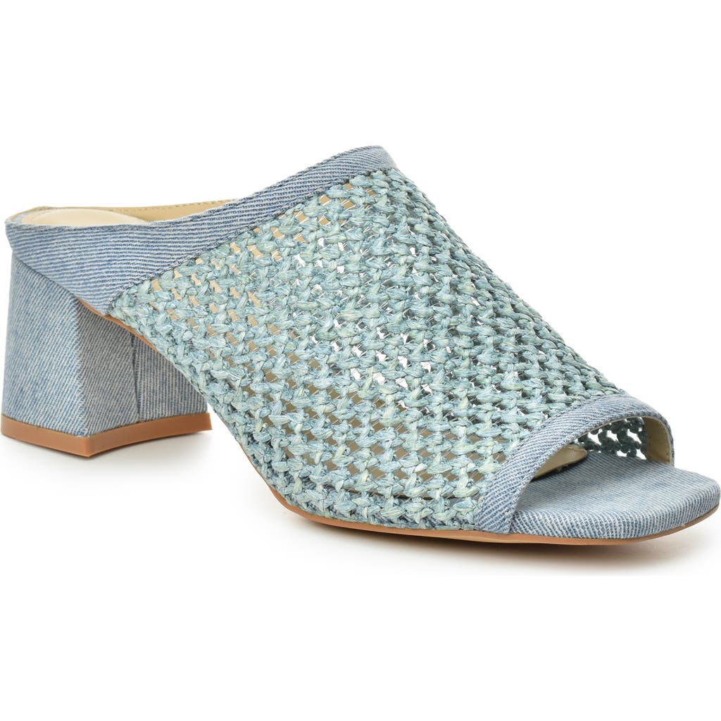 Catherine Catherine Malandrino Levot Braided Raffia Mule In Light Denim