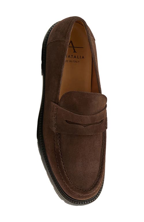 Aquatalia Blake Water Resistant Penny Loafer In Brown