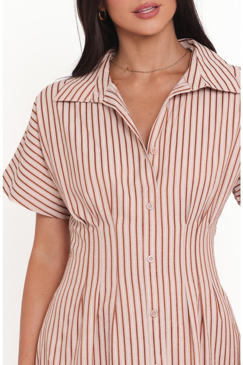 Eilis Stripe Midi Shirtdress, Alternate, color, BROWN STRIPE