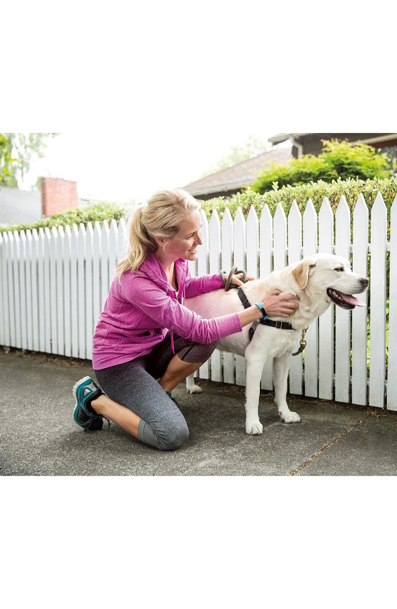 Fitbit Alta Wireless Fitness Tracker, Alternate, color, 