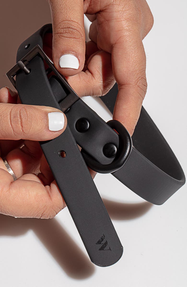 Wild One All-Weather Dog Collar, Alternate, color,