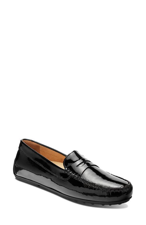 Samuel Hubbard Free Spirit Penny Loafer in Black Patent 