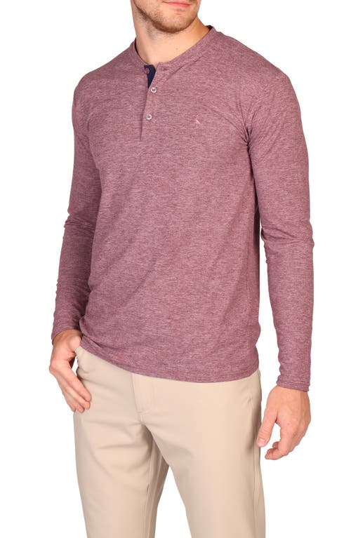 Tailorbyrd Brushed Mélange Long Sleeve Henley In Purple