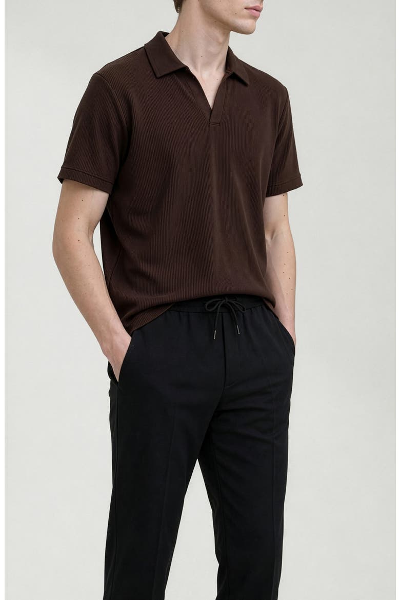 Ribbed Jonny Collar Polo, Alternate, color, CHOCOLATE