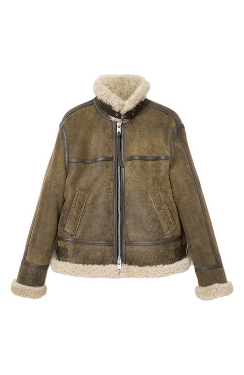 Allsaints Lorel Leather & Genuine Shearling Flying Jacket In Green