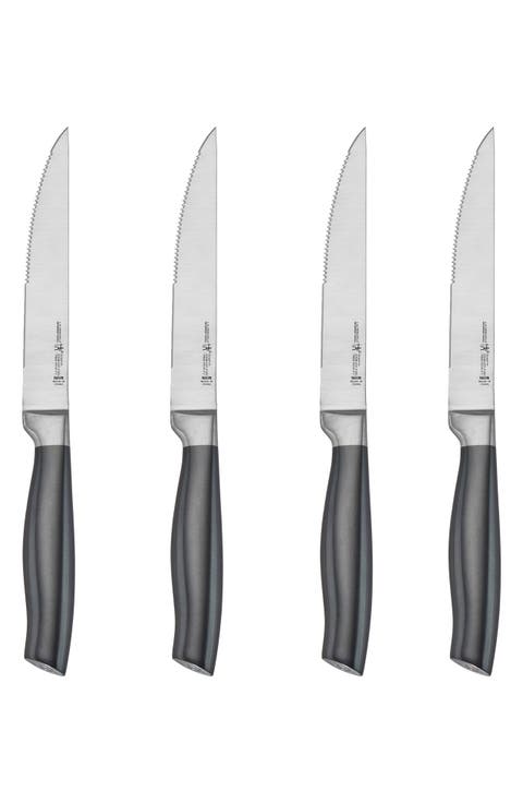 Graphite 4-Piece Steak Knife Set