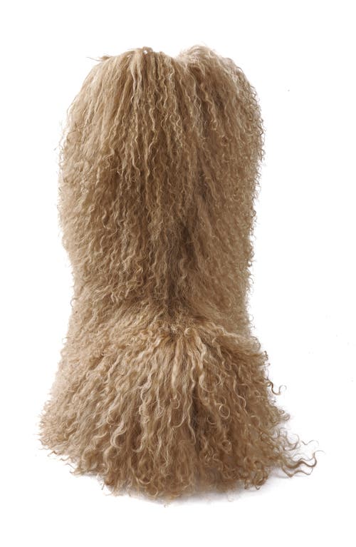 Zigi Risha Genuine Shearling Knee High Boot In Brown