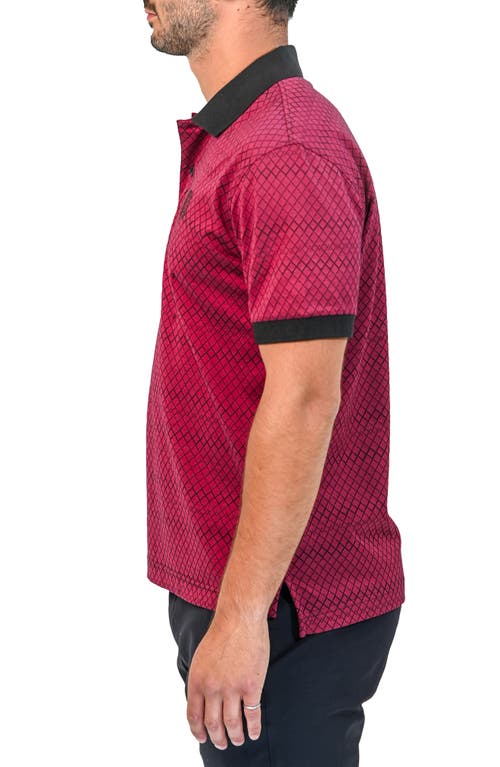 Maceoo Mozart Scale Polo In Red