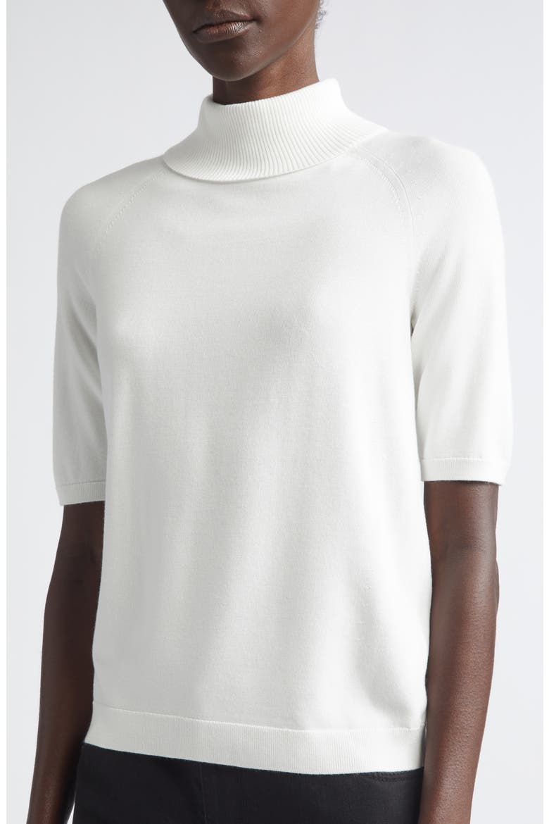 Raglan Sleeve Turtleneck Sweater, Alternate, color, CLOUD