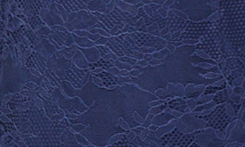 Cami Nyc Elouisa Lace Gown In Blue