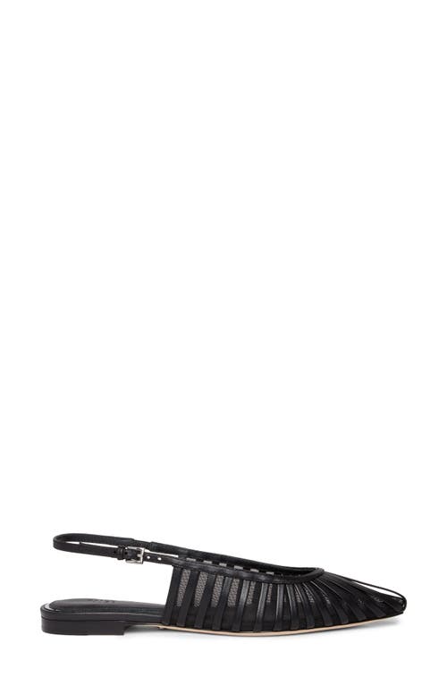 Paige Tera Pointed Toe Slingback Flat In Multi