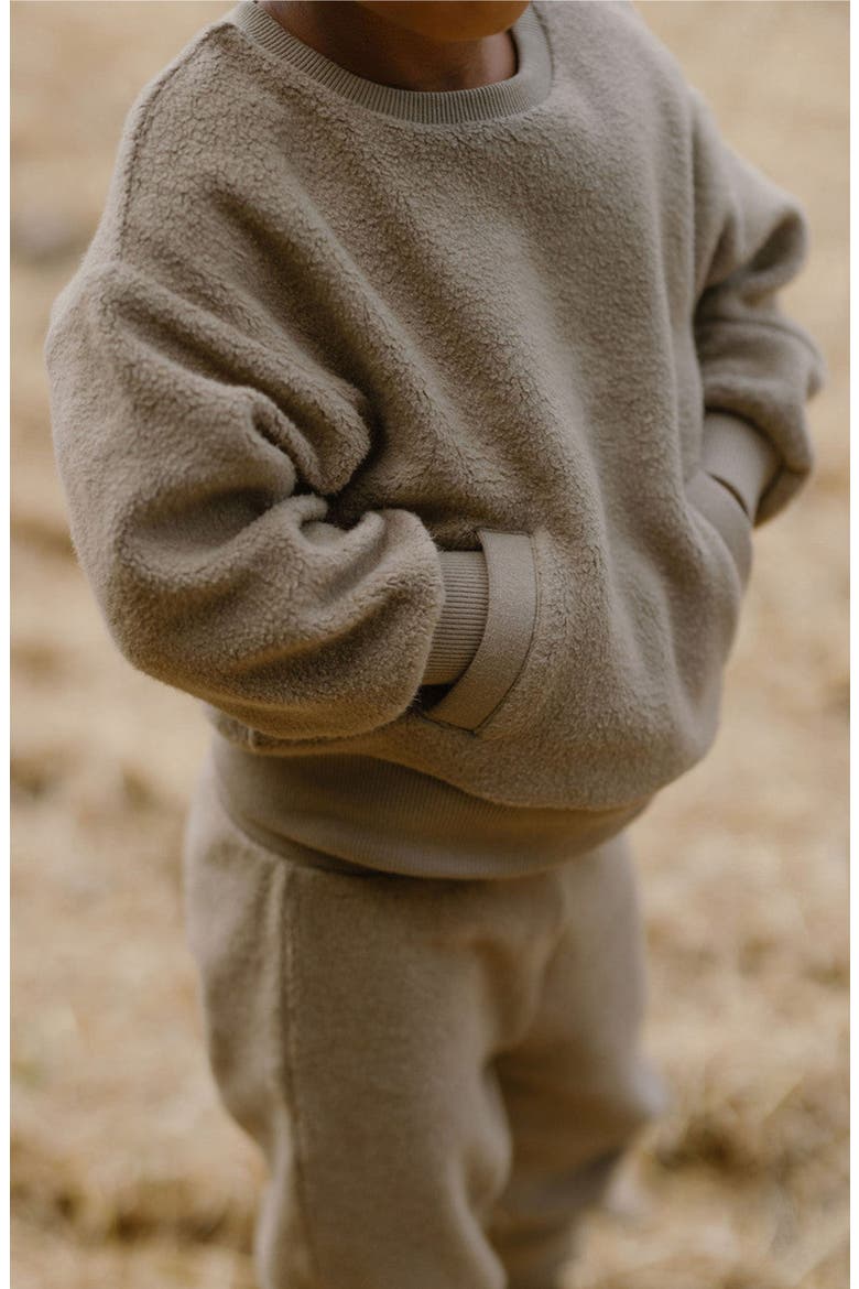 Organic Cotton Teddy Fleece Sweatshirt, Alternate, color, MOSS