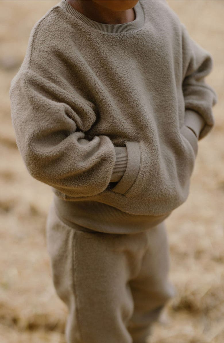 Pehr Organic Cotton Teddy Fleece Sweatshirt, Alternate, color, Moss